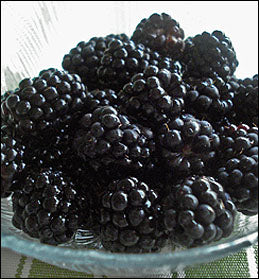 Triple Crown Blackberry