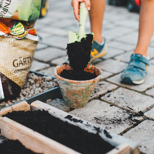 Raised Bed Garden Soil