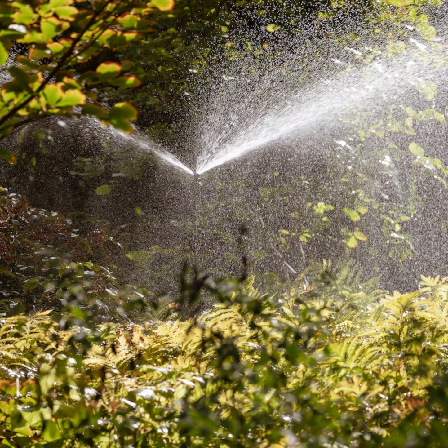 Sprinkler Systems